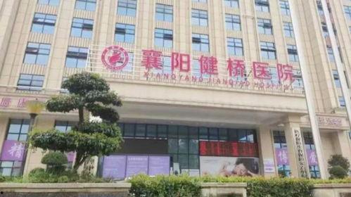 襄阳医院最新爆料,揭秘医疗行业背后真相